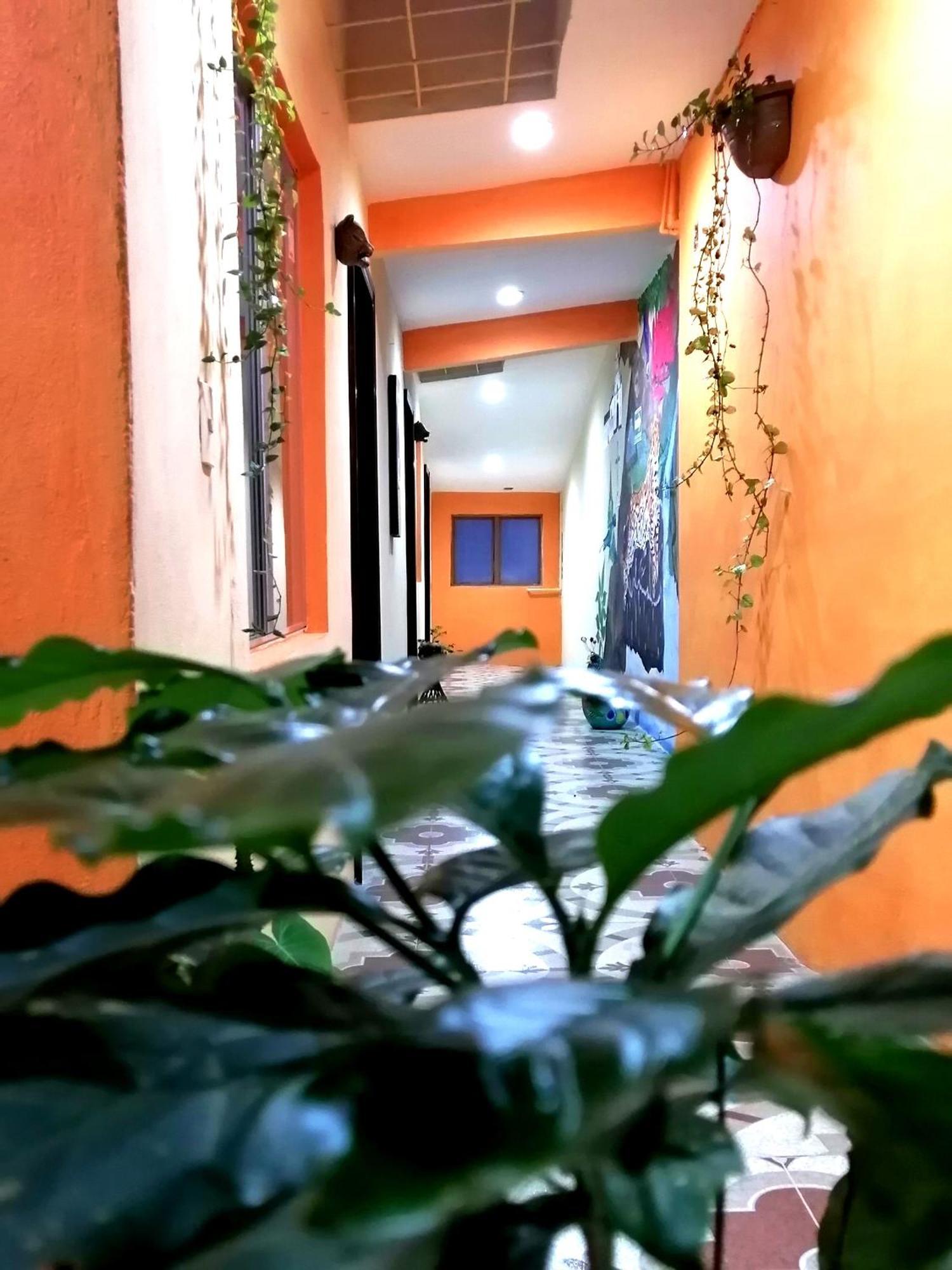 Hotel Amayal San Cristóbal de Las Casas Kültér fotó