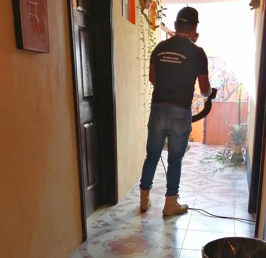 Hotel Amayal San Cristóbal de Las Casas Kültér fotó