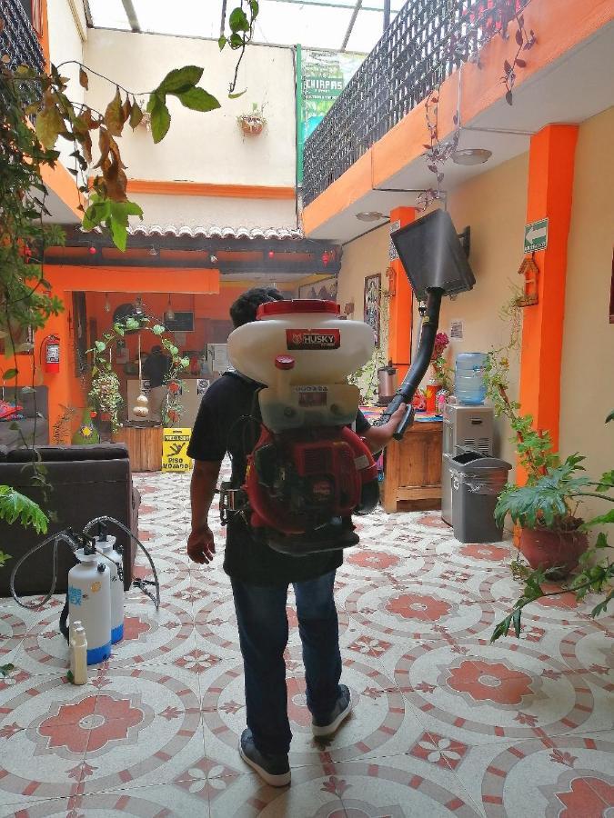 Hotel Amayal San Cristóbal de Las Casas Kültér fotó