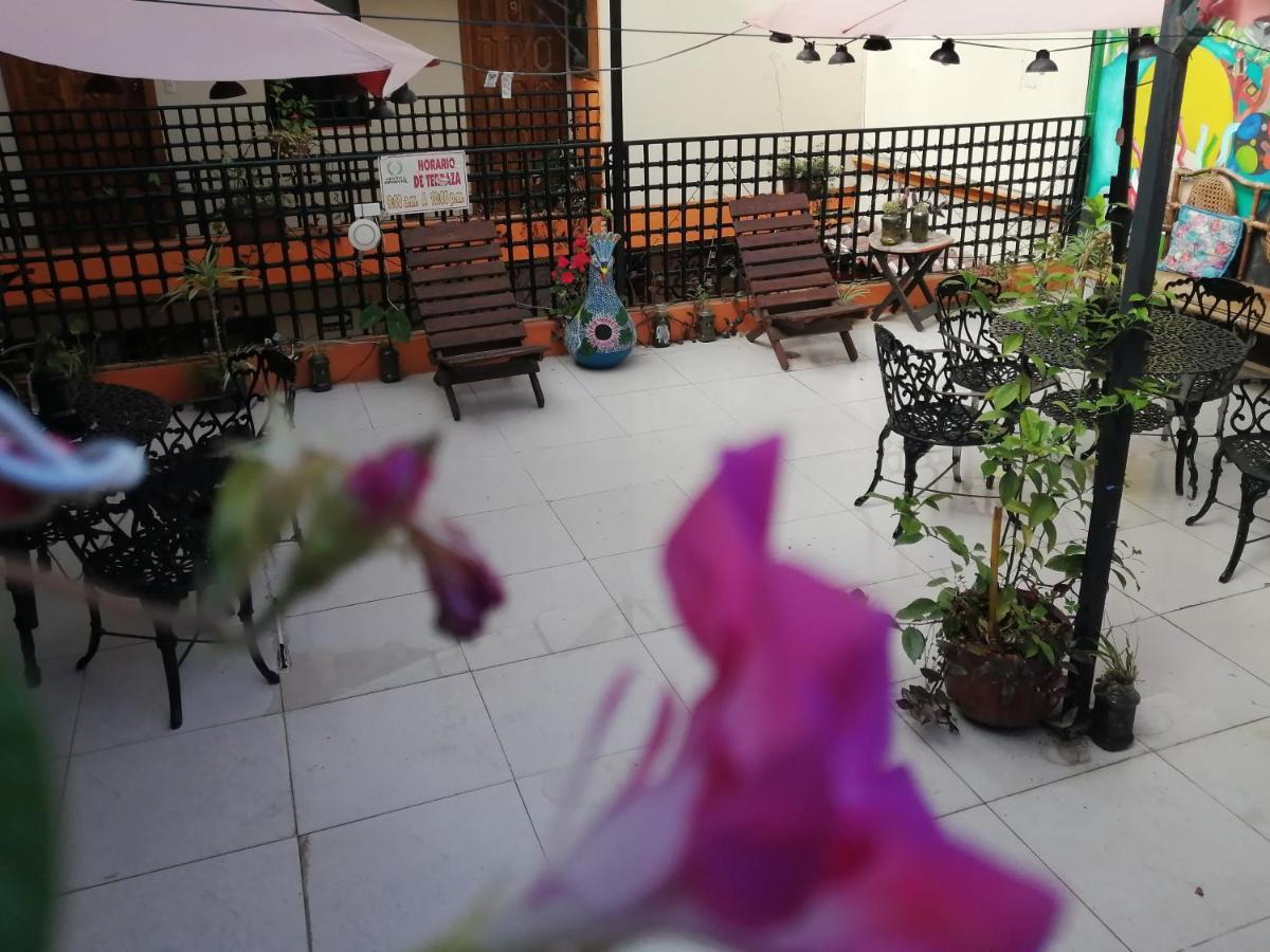 Hotel Amayal San Cristóbal de Las Casas Kültér fotó