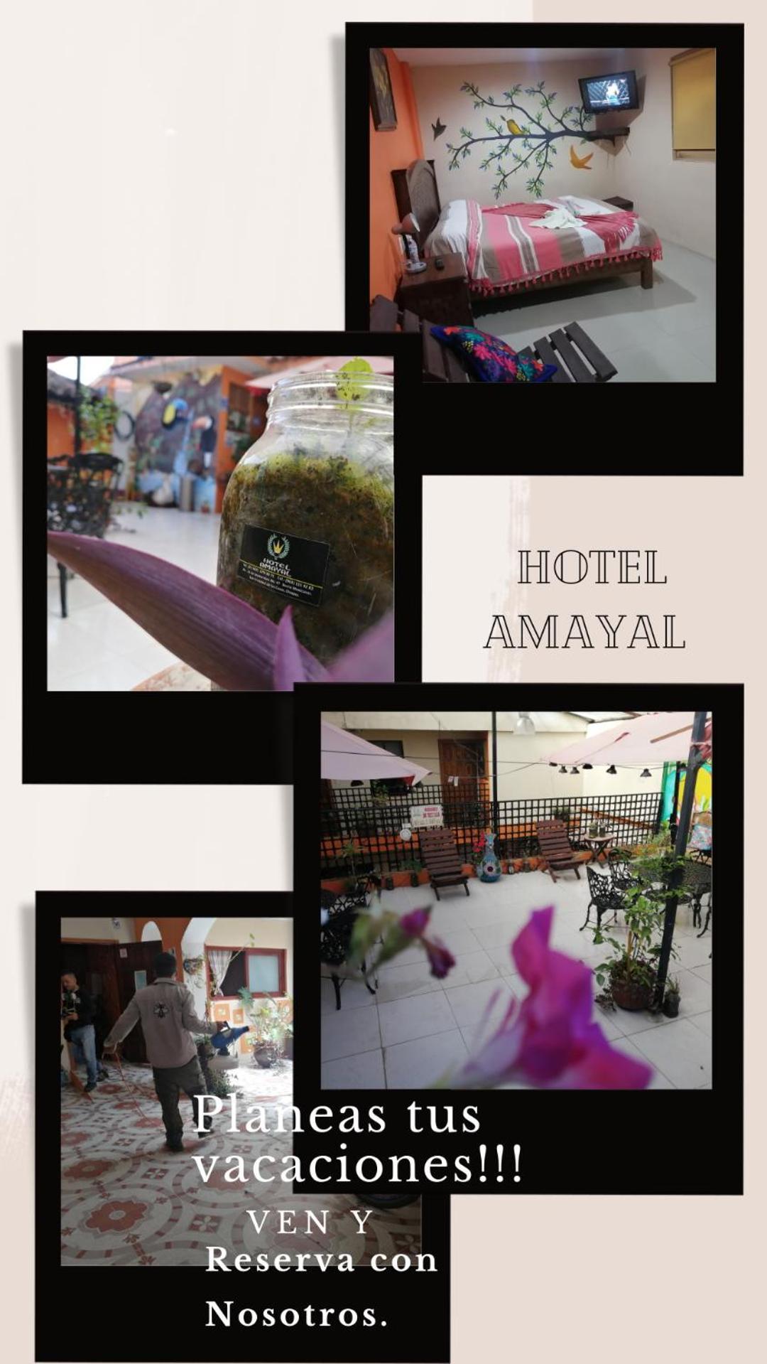 Hotel Amayal San Cristóbal de Las Casas Kültér fotó